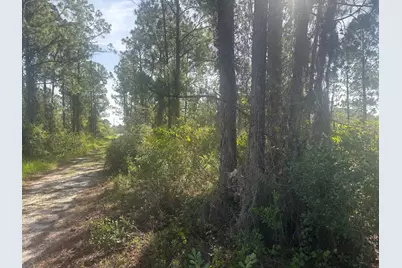1021 Granger Street, Lake Placid, FL 33852 - Photo 3