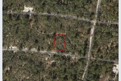 336 Stardust Avenue, Lake Placid, FL 33852 - Photo 3