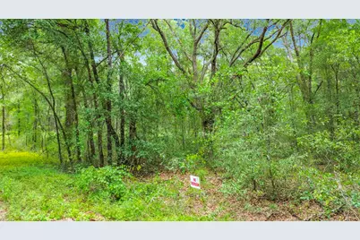 Sw 153rd Avenue SW Rainbow Park Avenue, Ocala, FL 34481 - Photo 11