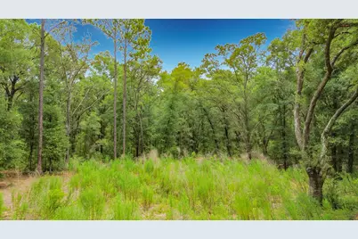 Sw 153rd Avenue SW Rainbow Park Avenue, Ocala, FL 34481 - Photo 13