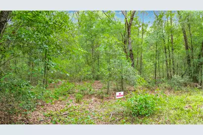 Sw 153rd Avenue SW Rainbow Park Avenue, Ocala, FL 34481 - Photo 11