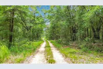 Sw 153rd Avenue SW Rainbow Park Avenue, Ocala, FL 34481 - Photo 7