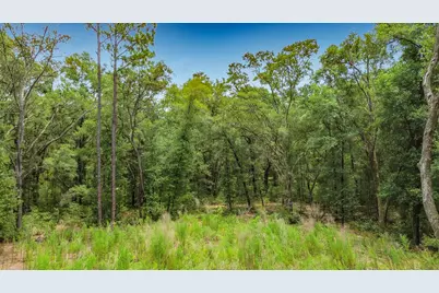 Sw 153rd Avenue SW Rainbow Park Avenue, Ocala, FL 34481 - Photo 15