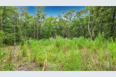 Sw 153rd Avenue SW Rainbow Park Avenue, Ocala, FL 34481 - Photo 13