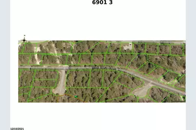 6901 N Swan Point, Dunnellon, FL 34434 - Photo 3