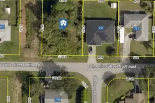 701 Delmonico St NE, Palm Bay, FL 32907 - Photo 1
