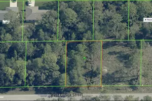 3059 W Eunice Dr, Dunnellon, FL 34433 - Photo 1