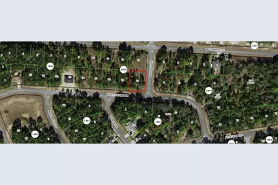 1975 W Shellbark Drive, Dunnellon, FL 34434 - Photo 1