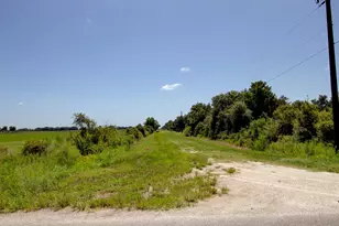 19034 NW 292nd St, Okeechobee, FL 34972 - Photo 33