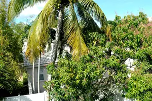 3003 Caffia Way, West Palm Beach, FL 33409 - Photo 25