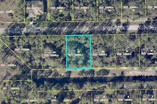 1214 Raphia St E, Lehigh Acres, FL 33974 - Photo 1