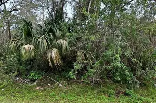 2120 Scott Ave, Alva, FL 33920 - Photo 1