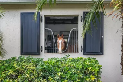 15380 46th Lane S, Wellington, FL 33414 - Photo 61