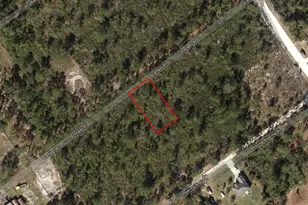 1017 Granger St, Lake Placid, FL 33852 - Photo 1