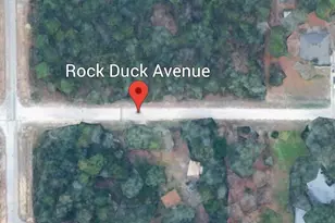 0 Rock Duck Ave, Weeki Wachee, FL 34614 - Photo 1