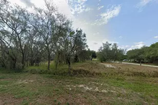 2391 W Camelot Rd, Avon Park, FL 33825 - Photo 1