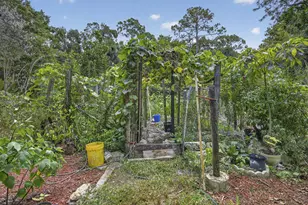 15182 Steffen Ln, Loxahatchee Groves, FL 33470 - Photo 39