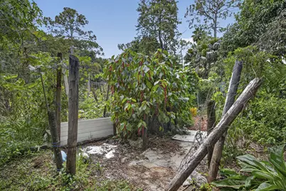 15182 Steffen Lane, Loxahatchee Groves, FL 33470 - Photo 39