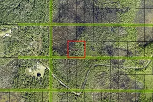 0 Salyers Rd, Groveland, FL 34736 - Photo 1