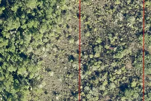 0 Salyers Rd, Groveland, FL 34736 - Photo 1