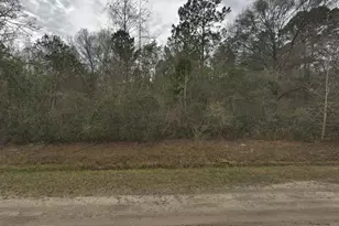10135 Nikolich Ave, Hastings, FL 32145 - Photo 1