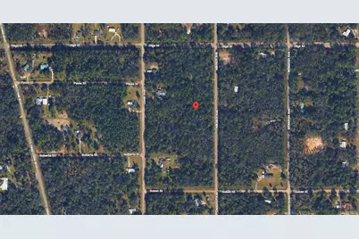 10135 Nikolich Avenue, Hastings, FL 32145 - Photo 3