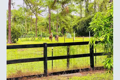 17225 78th Road N, The Acreage, FL 33470 - Photo 87