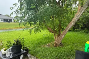 1282 SW Dalton Ave, Port Saint Lucie, FL 34953 - Photo 5