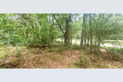 0 160th Terrace, Mc Alpin, FL 32062 - Photo 11