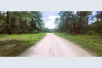 0 160th Terrace, Mc Alpin, FL 32062 - Photo 21