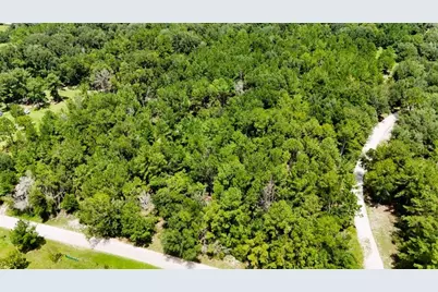 0 160th Terrace, Mc Alpin, FL 32062 - Photo 19