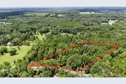 0 160th Terrace, Mc Alpin, FL 32062 - Photo 3