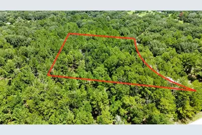 0 160th Terrace, Mc Alpin, FL 32062 - Photo 5
