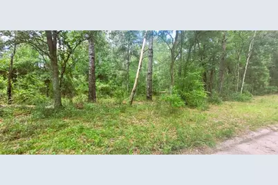 0 160th Terrace, Mc Alpin, FL 32062 - Photo 9
