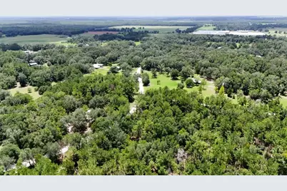 0 160th Terrace, Mc Alpin, FL 32062 - Photo 15