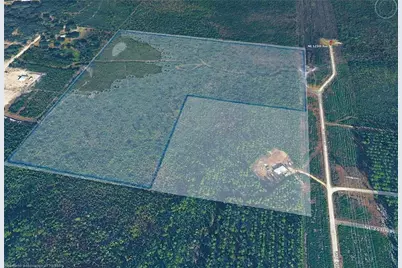 0 NE 125th Avenue, Fort Mc Coy, FL 32134 - Photo 1