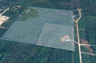 0 NE 125th Ave, Fort Mc Coy, FL 32134 - Photo 1