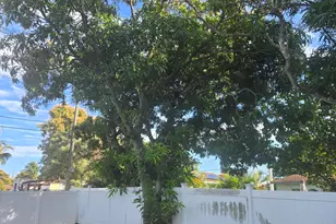 309 NW 6th Ave, Delray Beach, FL 33444 - Photo 15