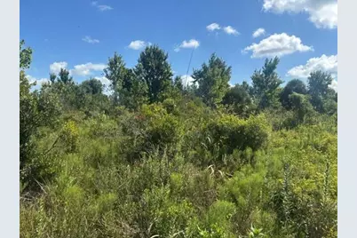 0 NW 312th Street, Okeechobee, FL 34972 - Photo 1