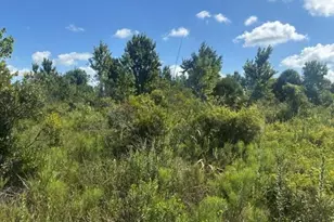 0 NW 312th St, Okeechobee, FL 34972 - Photo 1