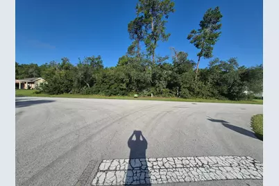 0 SW 40th Terrace Road, Ocala, FL 34473 - Photo 5