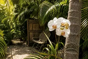 921 NW 7th St, Boca Raton, FL 33486 - Photo 15