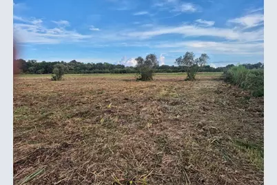15790 NW 284th Street, Okeechobee, FL 34972 - Photo 11