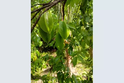 [Address not provided], Plantation, FL 33317 - Photo 29
