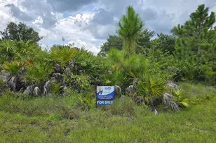 873 Carpenter St E, Lehigh Acres, FL 33974 - Photo 1