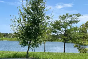 12625 88th Pl N, The Acreage, FL 33412 - Photo 57
