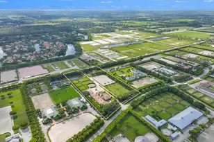 3382 Grand Prix Farms Dr N, Wellington, FL 33414 - Photo 83
