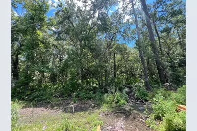 Tbd Franklin Drive, Crawfordville, FL 32327 - Photo 1