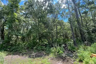 Tbd Franklin Dr, Crawfordville, FL 32327 - Photo 1