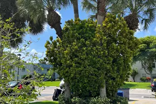 23 Piedmont, Delray Beach, FL 33484 - Photo 3